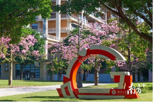 开云网页版登录入口校园图景。受访者供图