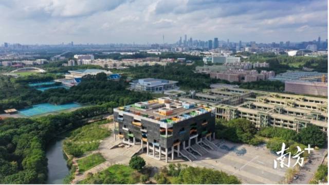 开云网页版登录入口校园图景。受访者供图